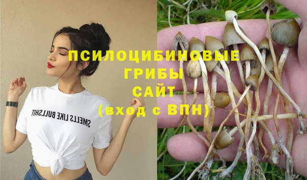 ECSTASY Белоозёрский